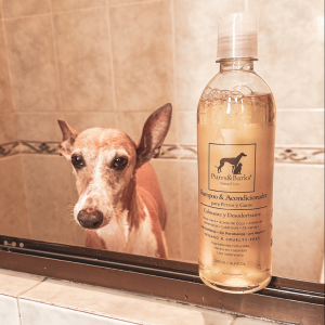 Shampoo & Acondicionador