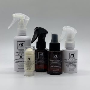 Summer Travel Size Skincare Set