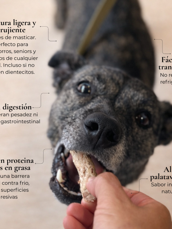 Snacks de Pollo Liofilizado 99g