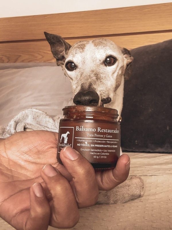 Protección y recuperación de la piel