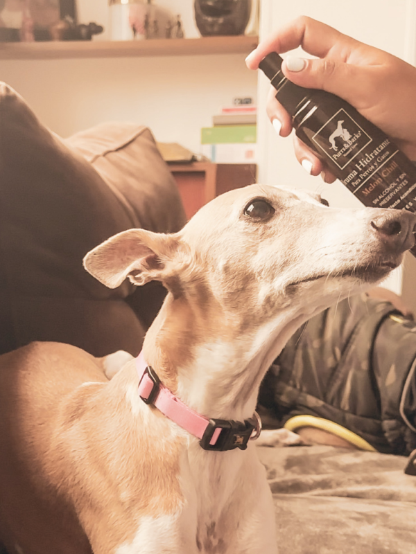 Hidratación y cuidado del pelaje