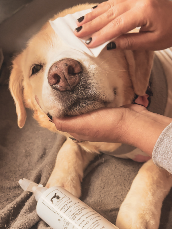 Higiene lagrimales y orejitas
