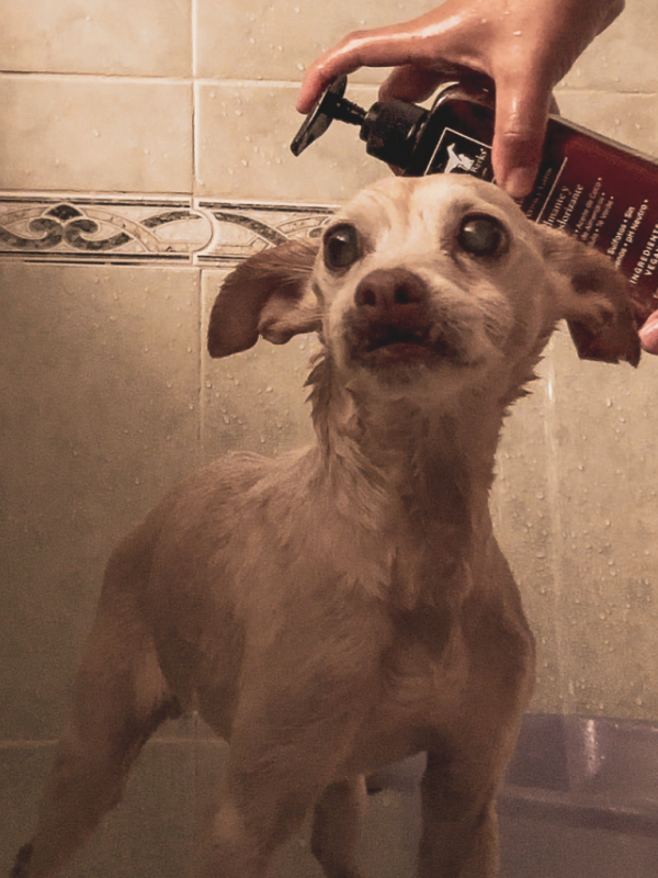 Productos Baño e Higiene