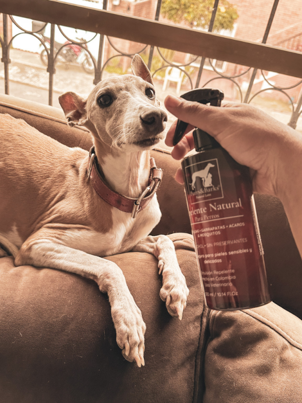 Protección contra Pulgas y Garrapatas