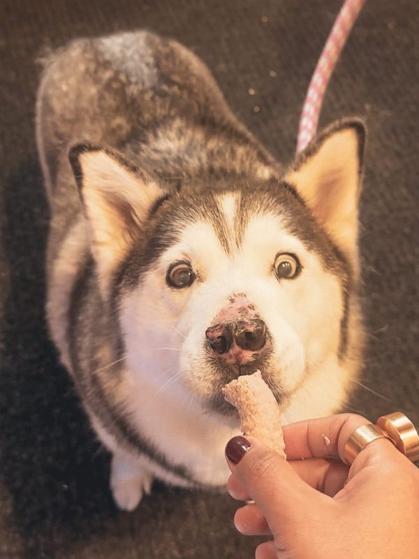 🦴 Snacks Liofilizados