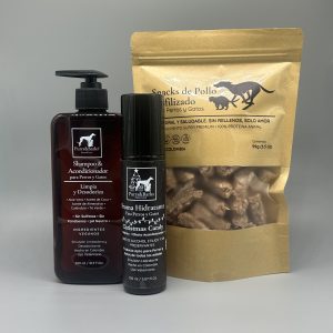 Kit de Bienvenida al 2026