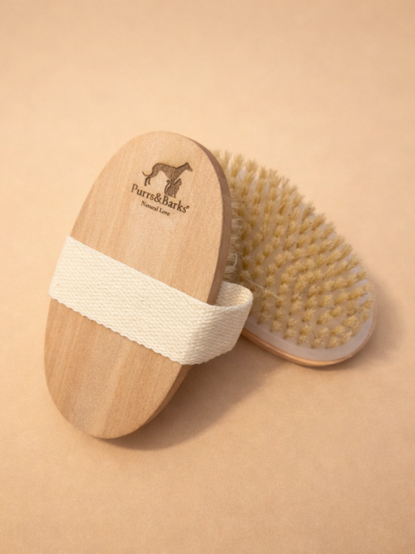 Cepillo de dermocuidado – Manto corto