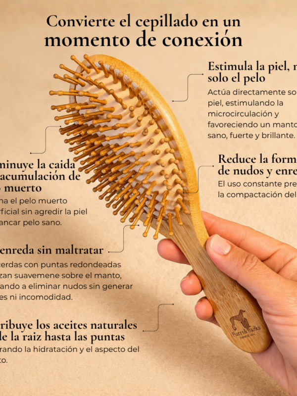 Cepillo de dermocuidado – Manto medio y largo