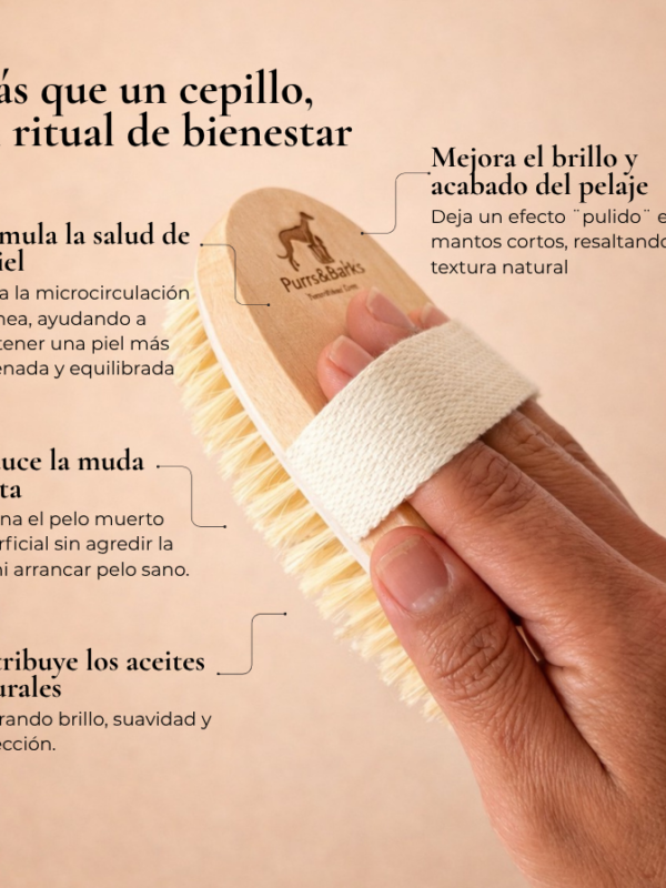 Cepillo de dermocuidado – Manto corto