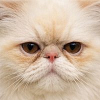 7318E948-2BE9-4DFD-B36C-6766C1F2B16C 3