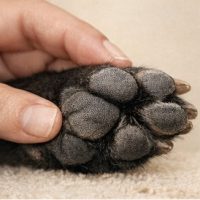 7318E948-2BE9-4DFD-B36C-6766C1F2B16C 4