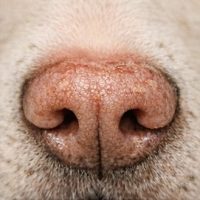 7318E948-2BE9-4DFD-B36C-6766C1F2B16C 6