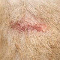 7318E948-2BE9-4DFD-B36C-6766C1F2B16C 7