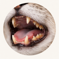 EDA4B30E-6AF5-4B85-9665-A800D3DE0DC7