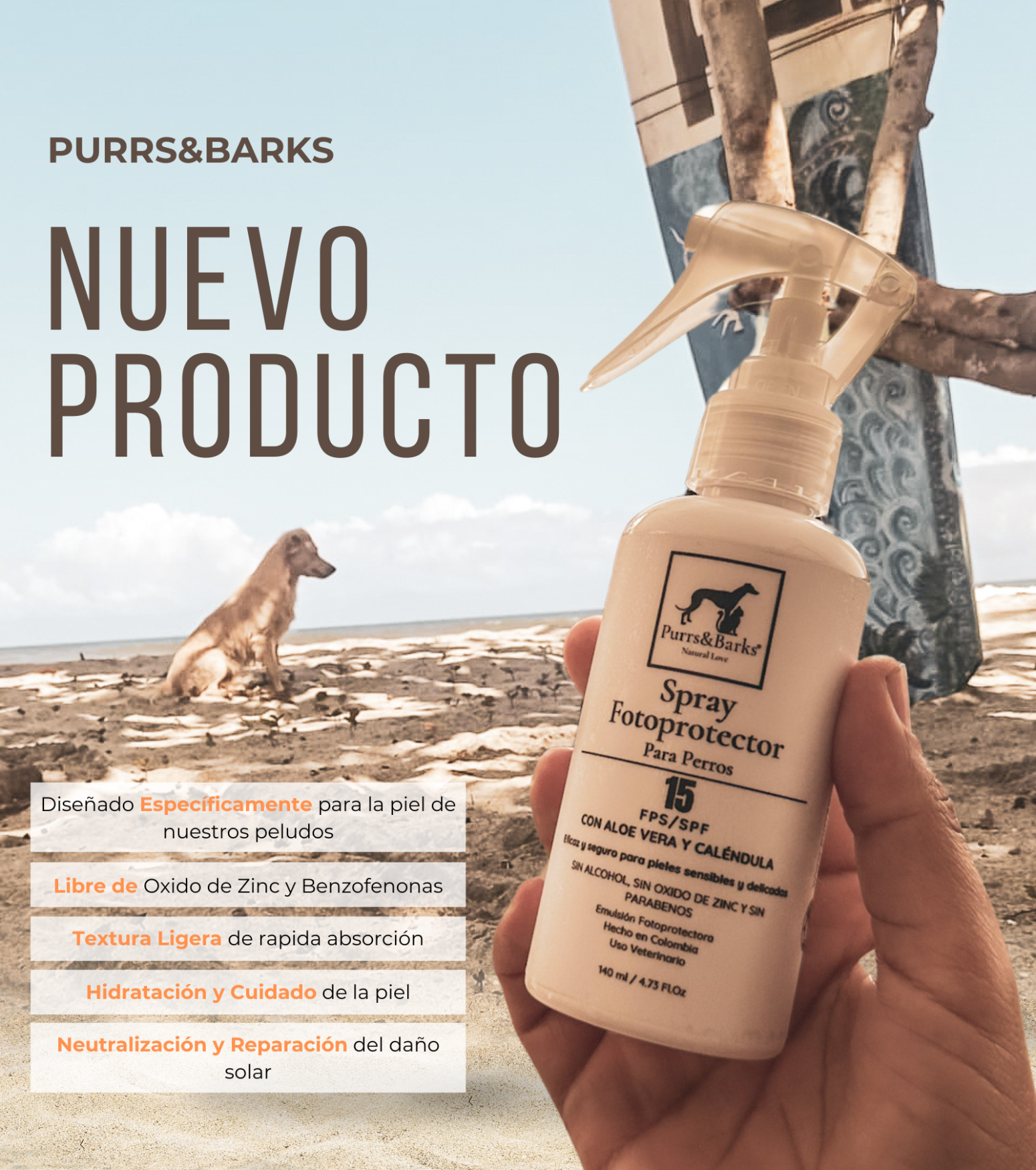 NUEVO PRODUCTO