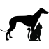 perro y gato